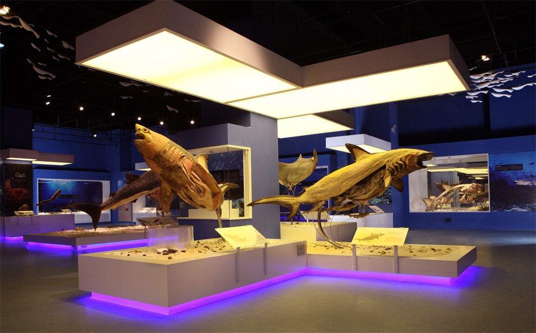 20210705-生(sheng)命奧秘博物(wù)館 (1).jpeg